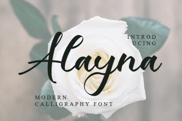 Alayna: A Refined Script Font for Digital Brand Moments