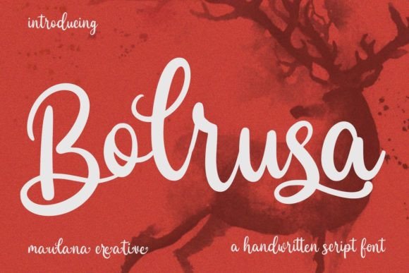 Bolrusa: The Handwritten Script Font That Elevates Small Business Branding