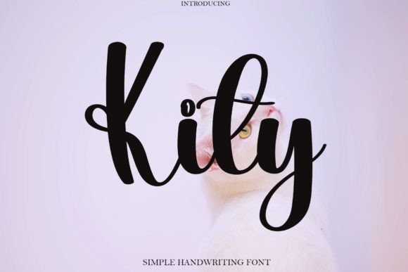 Kity: The Handwritten Font That Builds Trust for Small Businesses