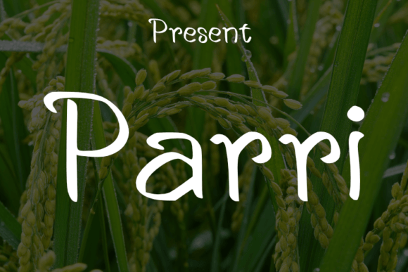 Parri: The Handwritten Typeface for Modern Web Design