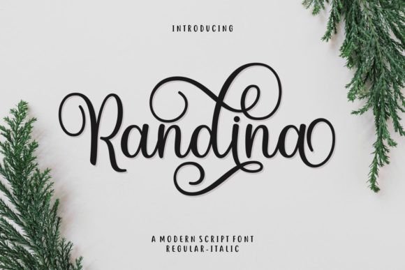 Randina: The Modern Script Font for Editorial Design